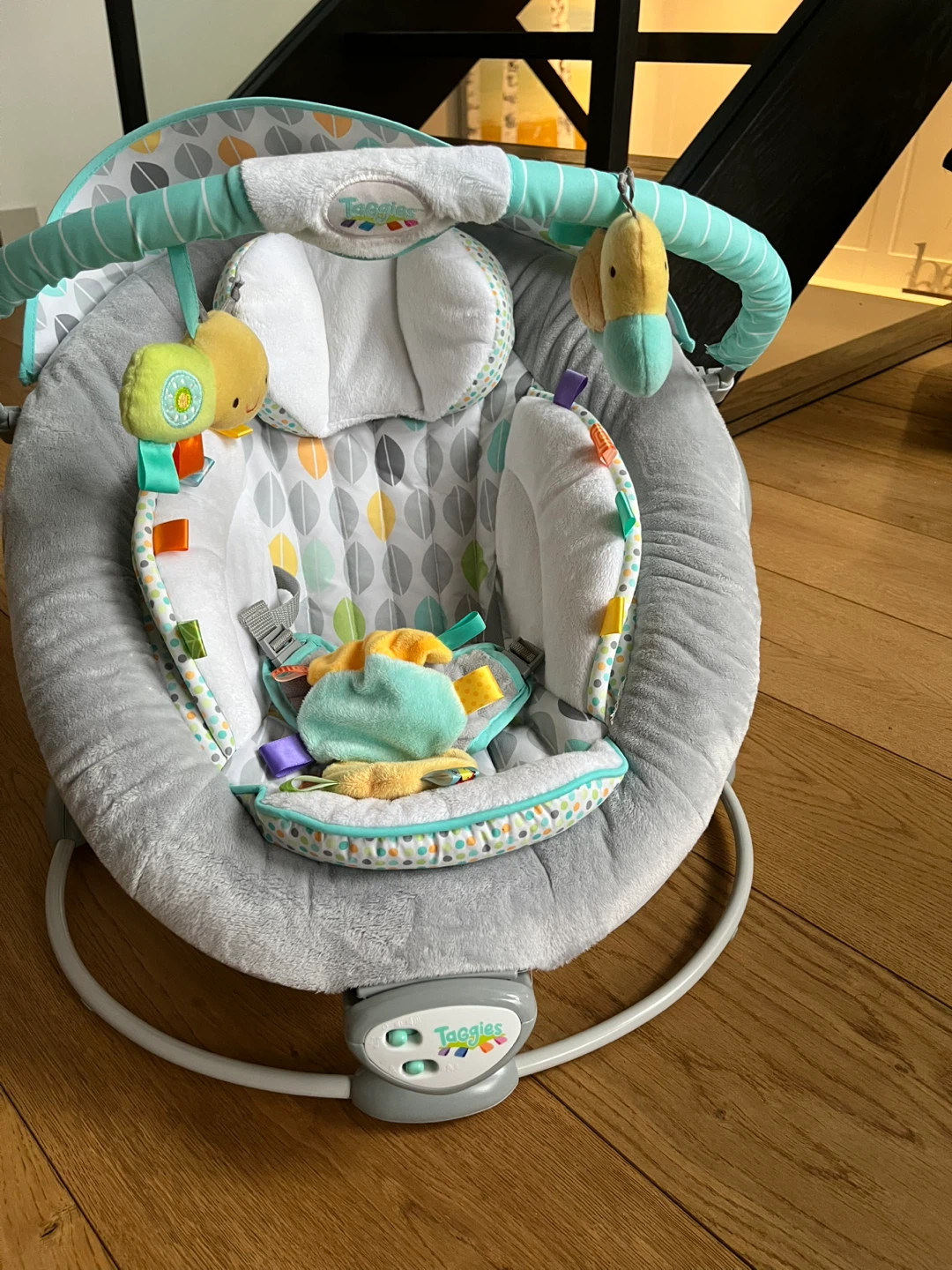 Taggies Soothing Bouncer - Great Condition! - photo 2