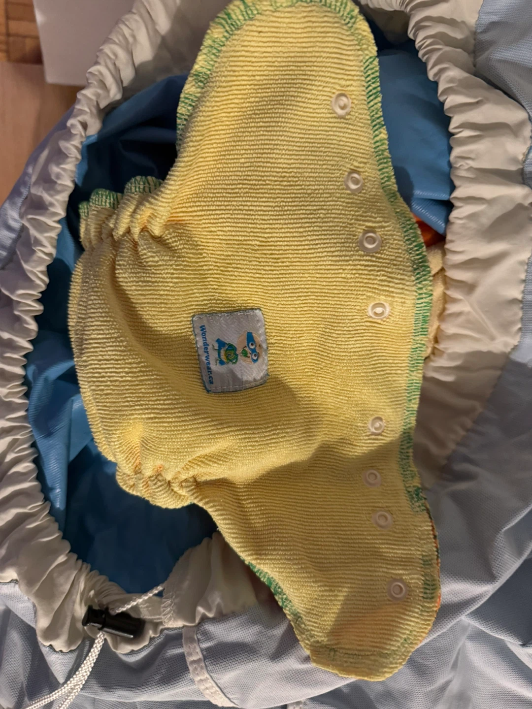 Free Reusable Diapers with Bag - 6 - 12 months