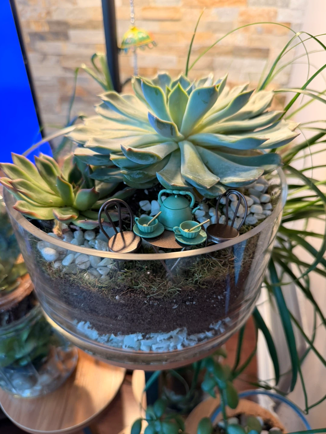 Succulent Terrarium with Miniature Tea Set🏆