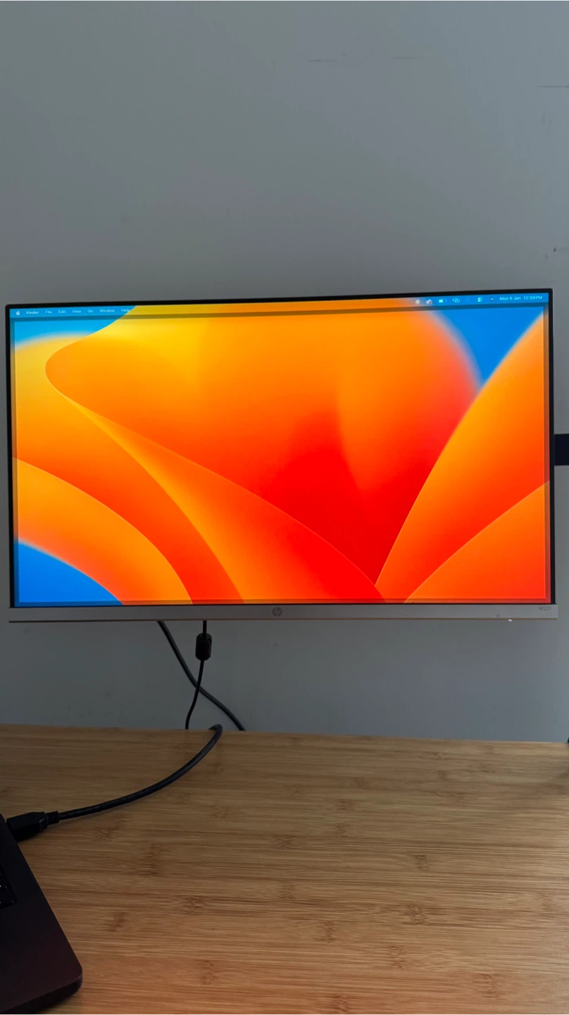HP M22i 21.5-inch Monitor with mount
