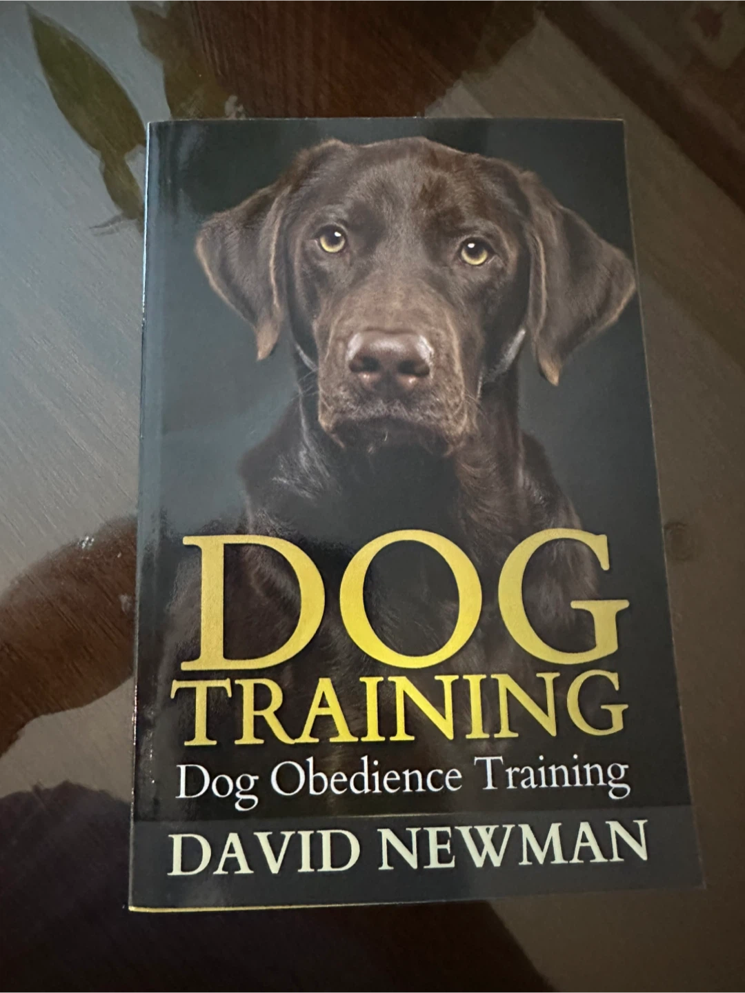 Dog Training Books by Newman & Sundance - photo 3
