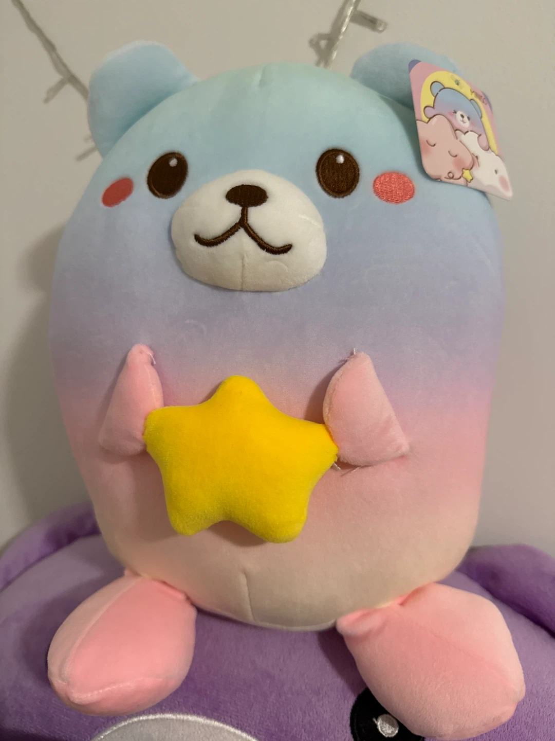 Cute Plush Bear with Star from Miniso 🧡