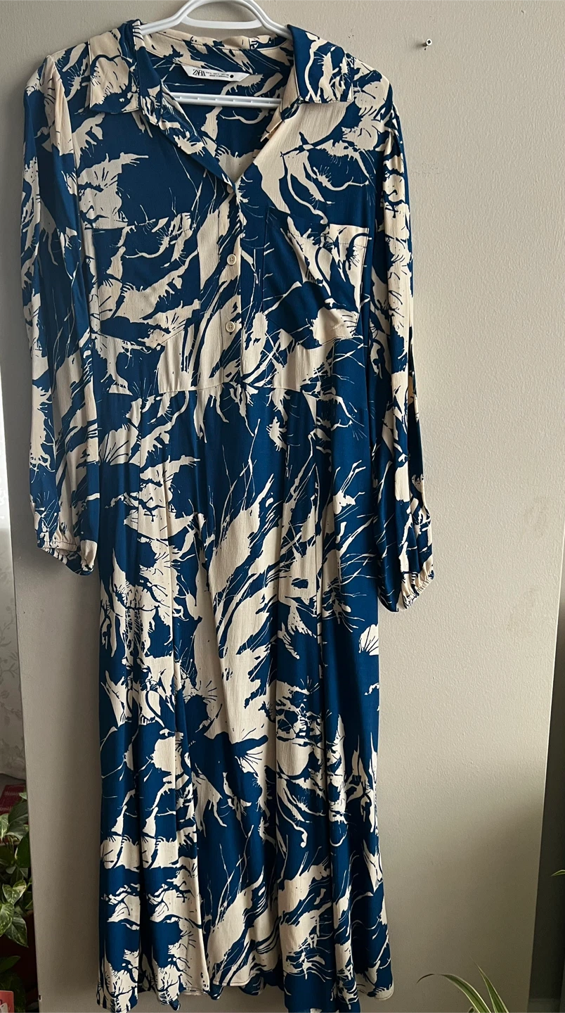Zara Blue & Beige Floral Print Dress