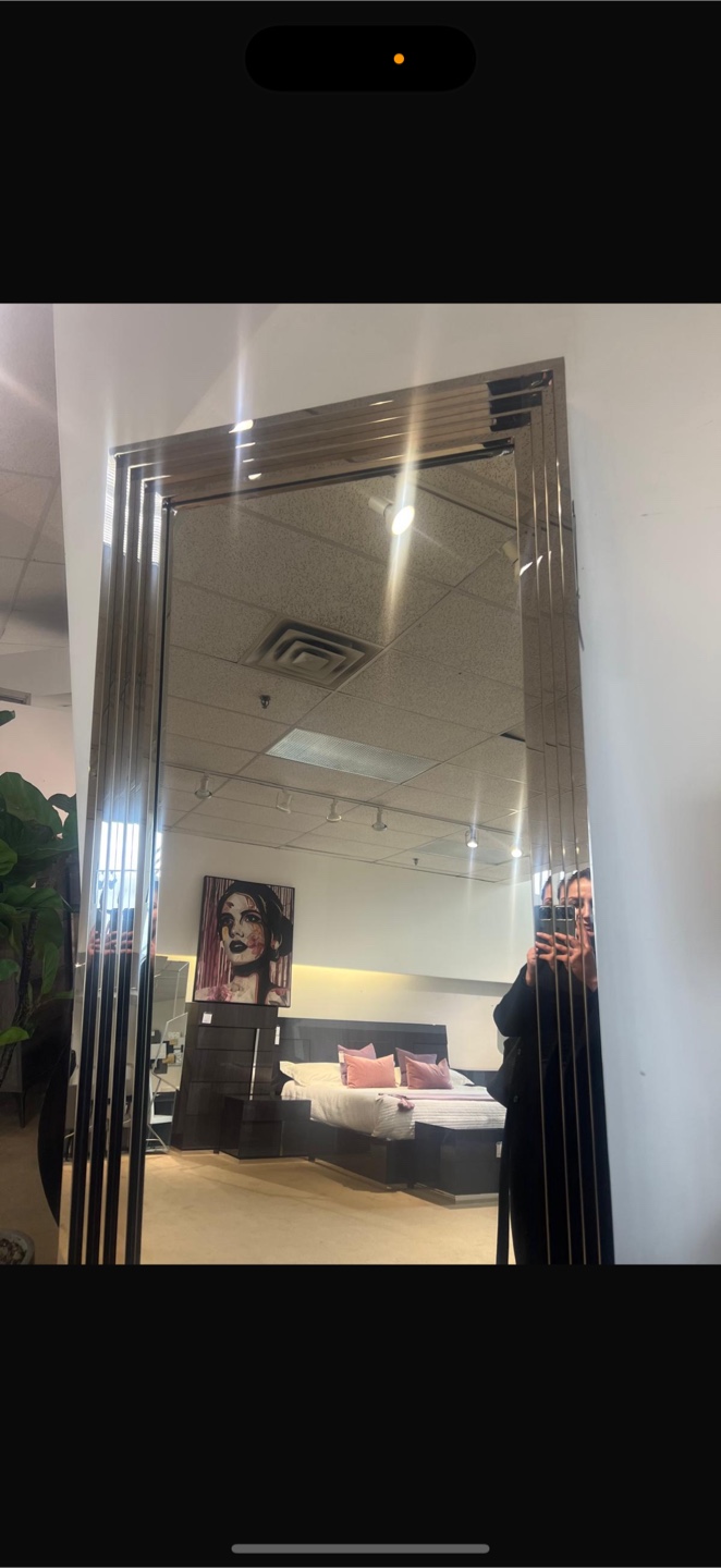 Elegant Full Length Mirror