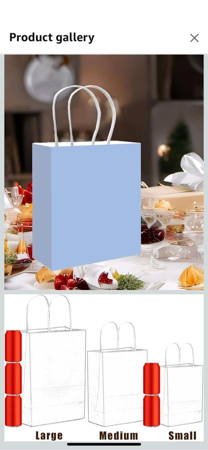 Light Blue Paper Gift Bags, Medium Size - photo 4
