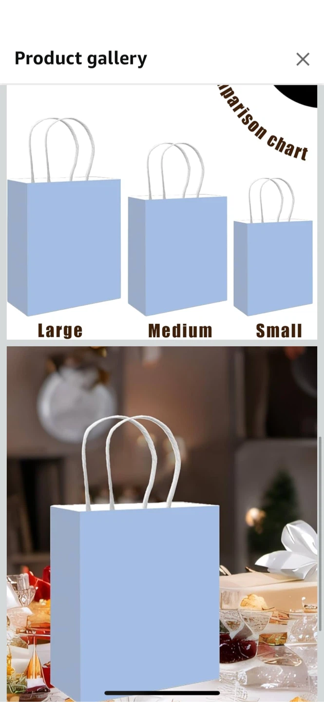Light Blue Paper Gift Bags, Medium Size - photo 3