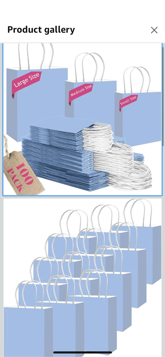 Light Blue Paper Gift Bags, Medium Size