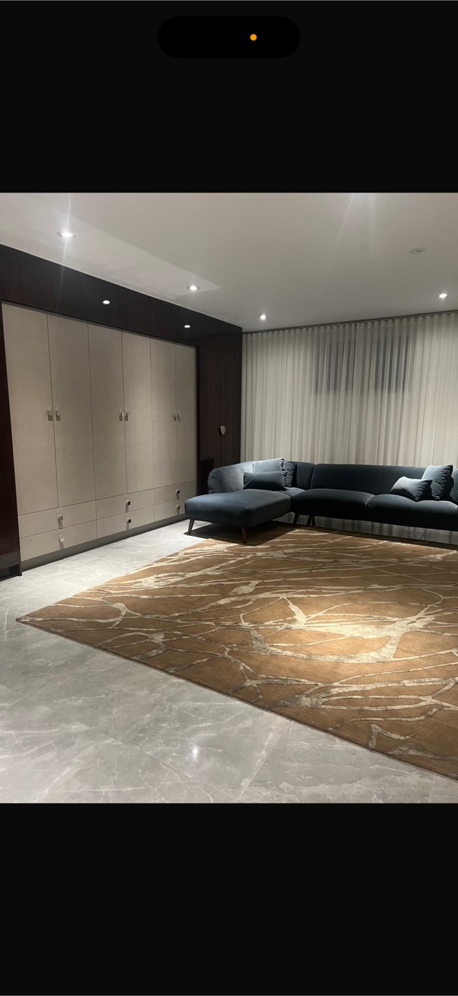 Area Rugs - Neutral and Brown Tones - photo 3
