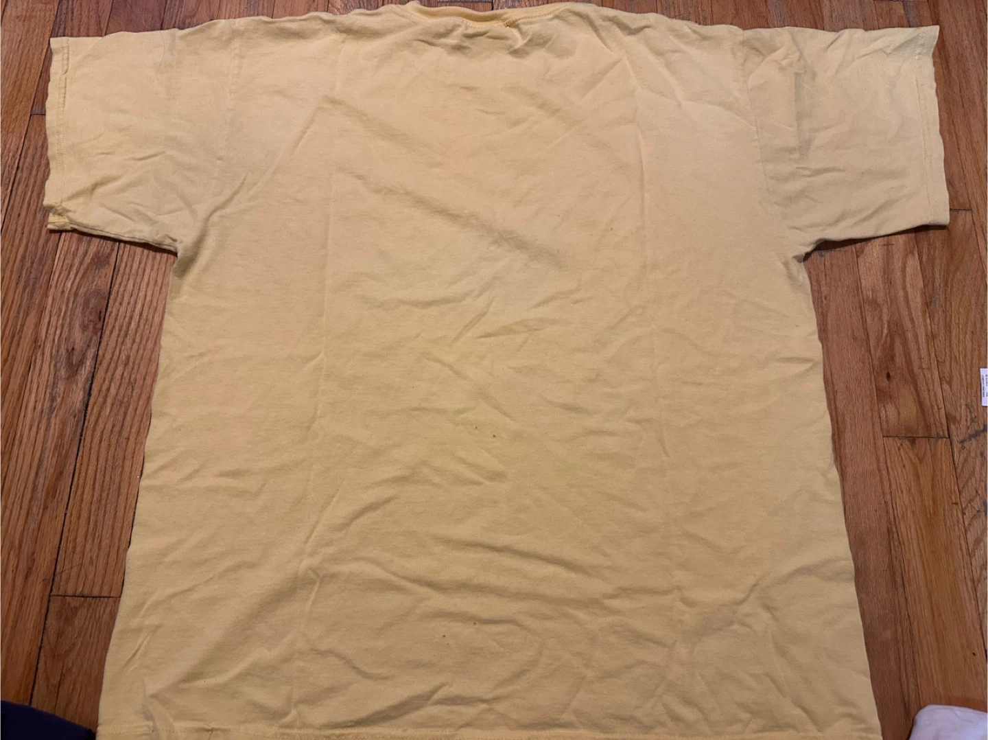 Tultex Cape Cod Shark Graphic T-Shirt - XL - photo 5