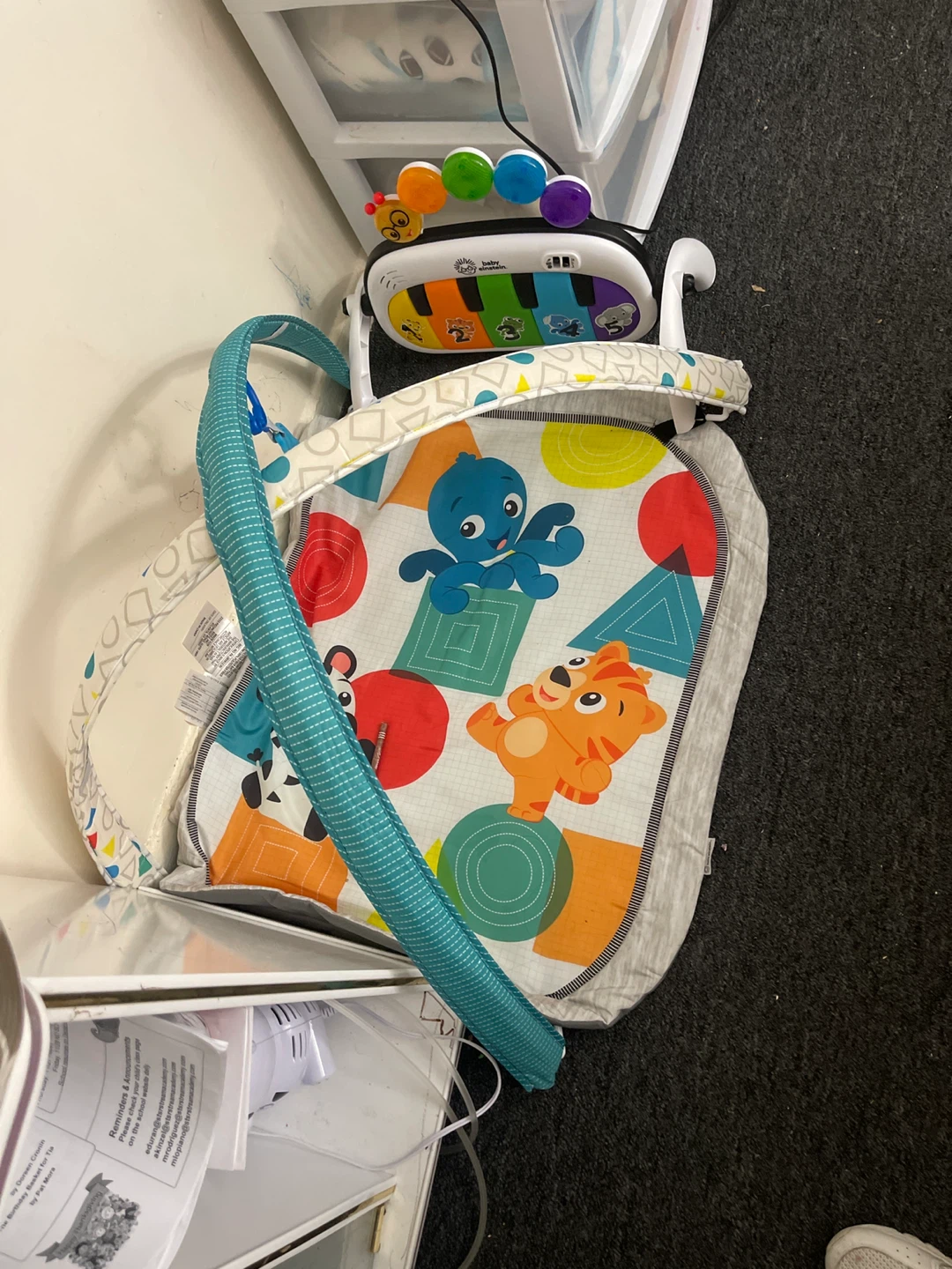 Baby Einstein Activity Gym