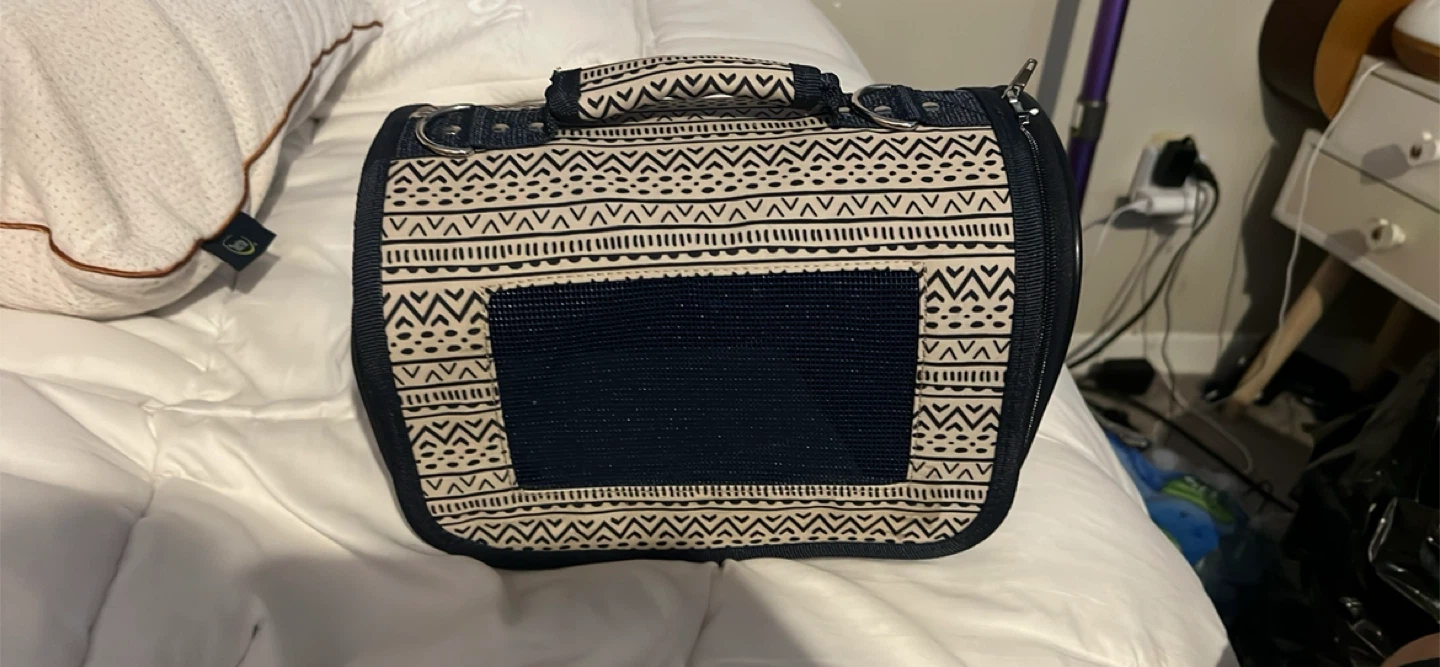 Kitten Carrier
