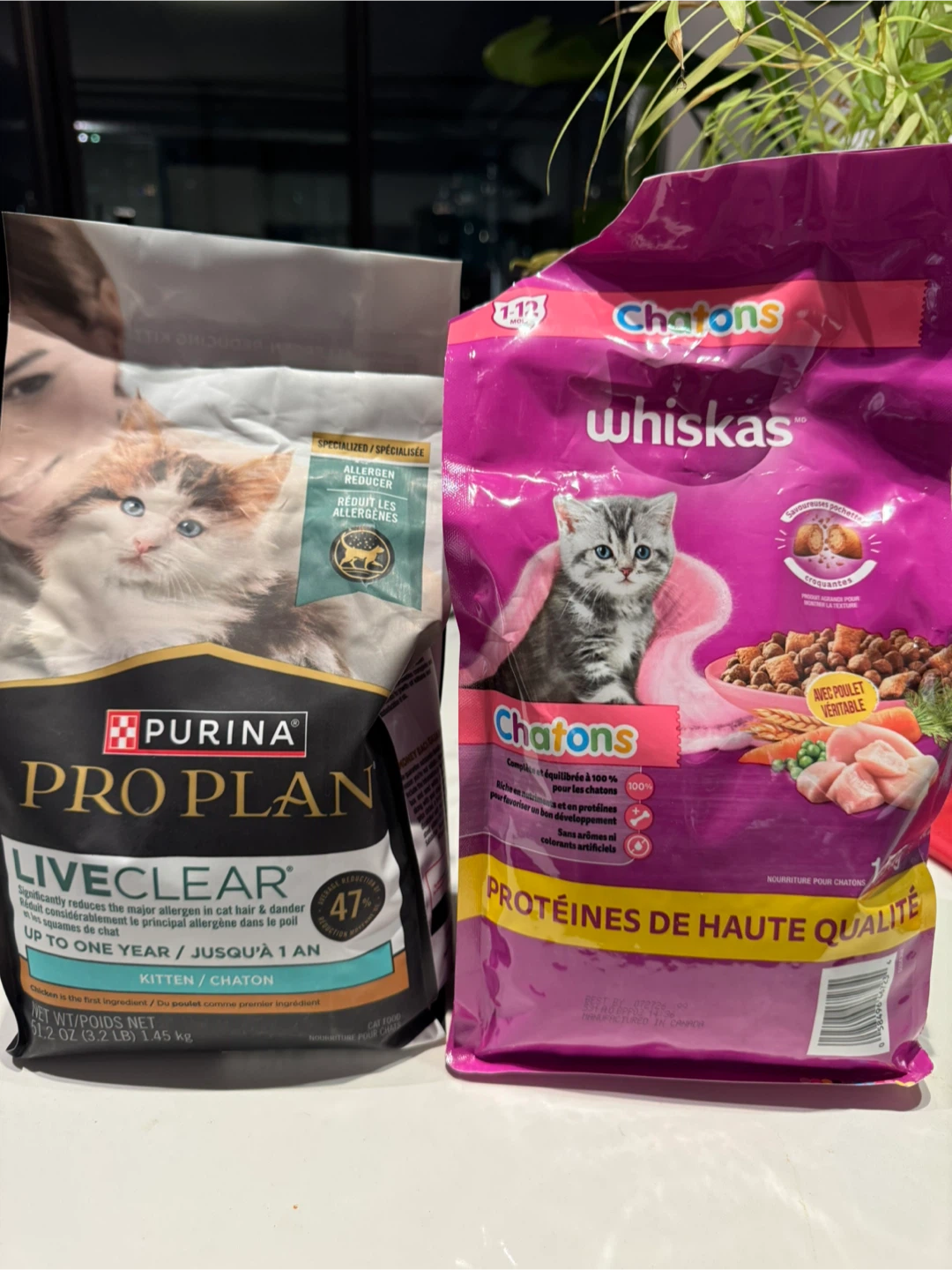Purina Pro Plan & Whiskas Kitten Food - FREE