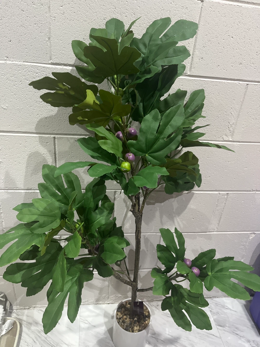 Artificial Fig Tree in White Pot