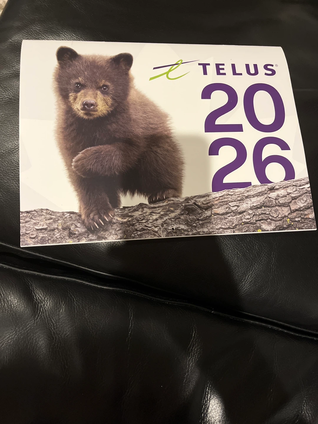 🧡 Telus 2026 Calendar