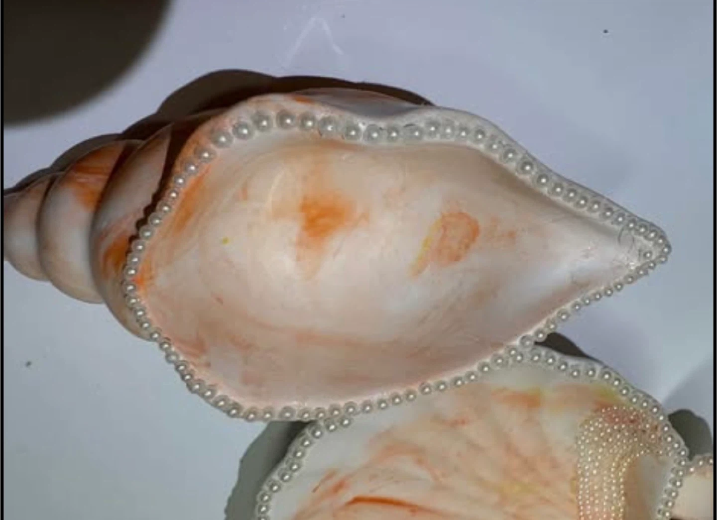 Handmade Seashell Trinket Dish with Pearl Trim - photo 5