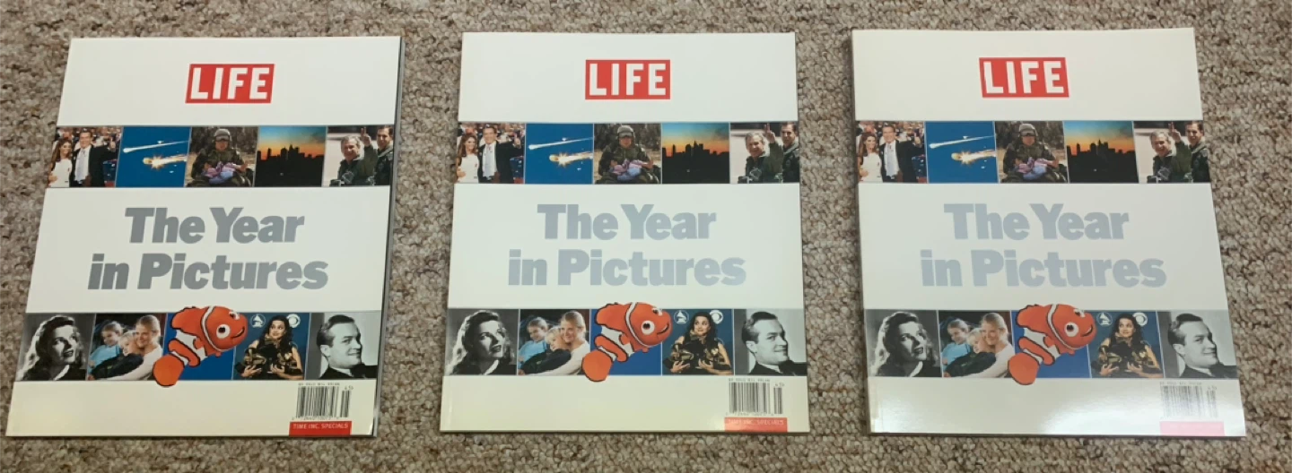 LIFE The Year in Pictures 2003