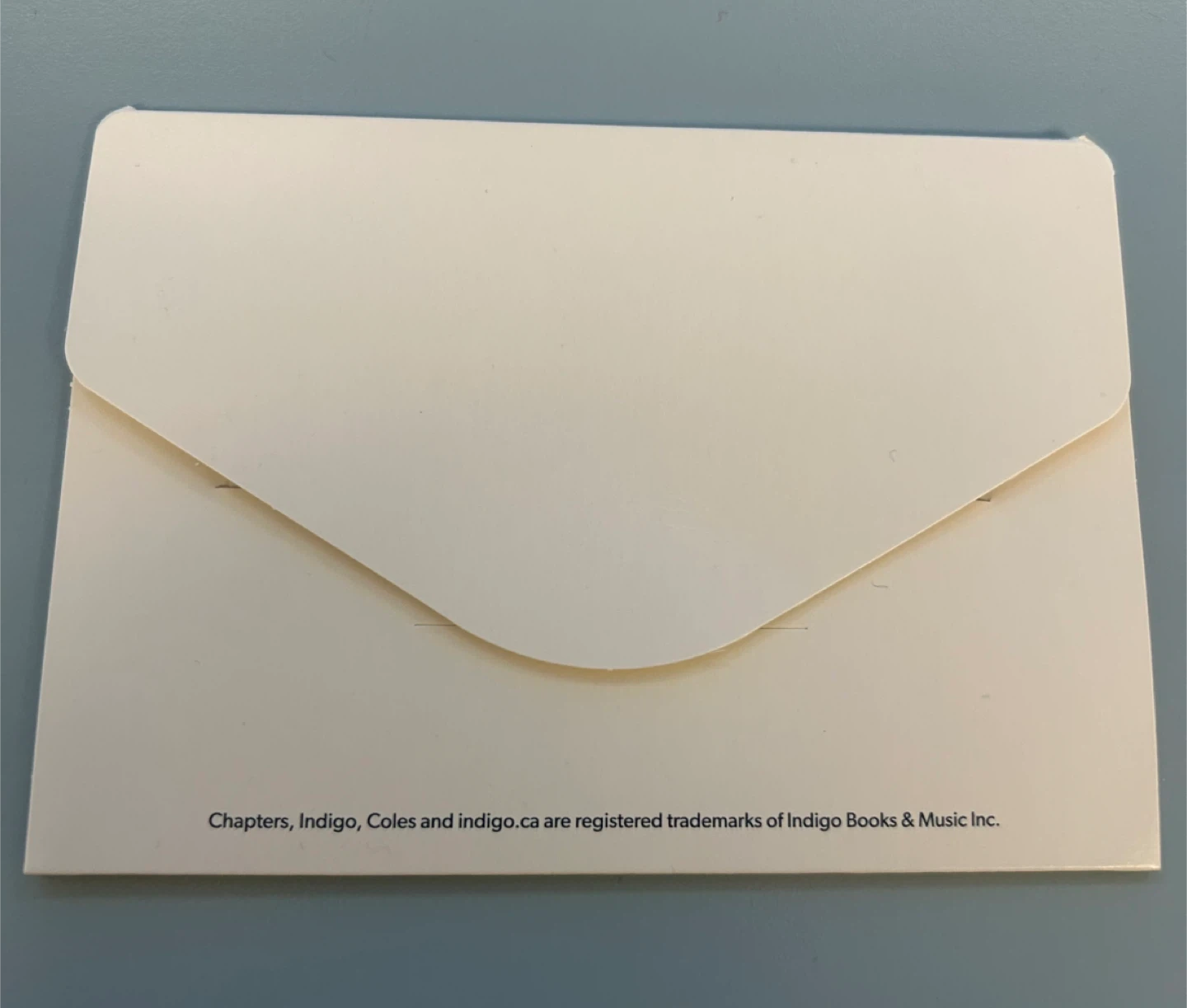 Indigo Gift Card Worth $100 - photo 4