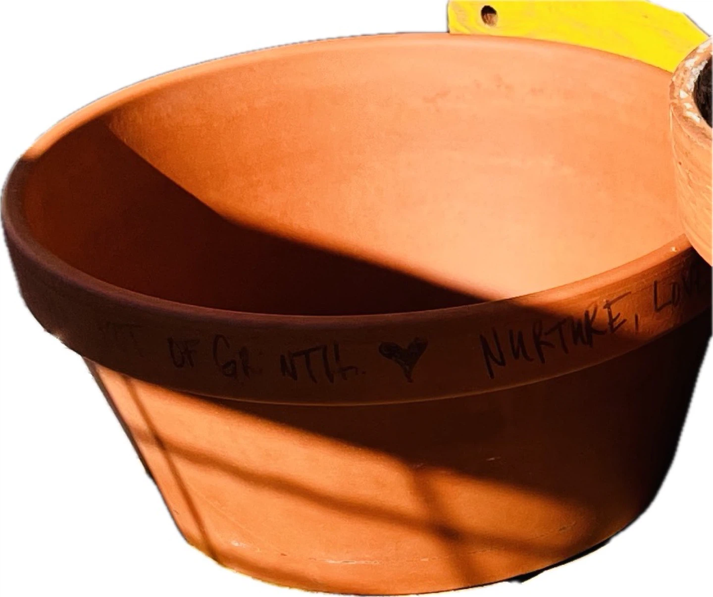 🪴3x Terracotta Clay Plant Pots - 2 x 8" and 1 x 10" 🧡 - photo 5