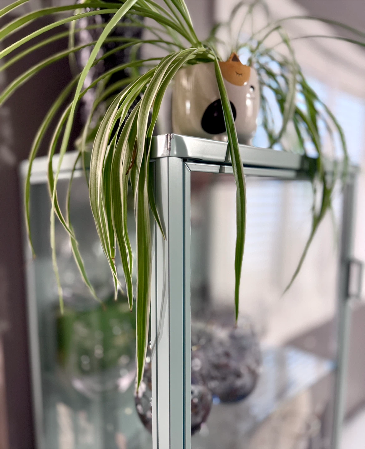 IKEA Rudsta Glass Cabinet - Light Turquoise - photo 4