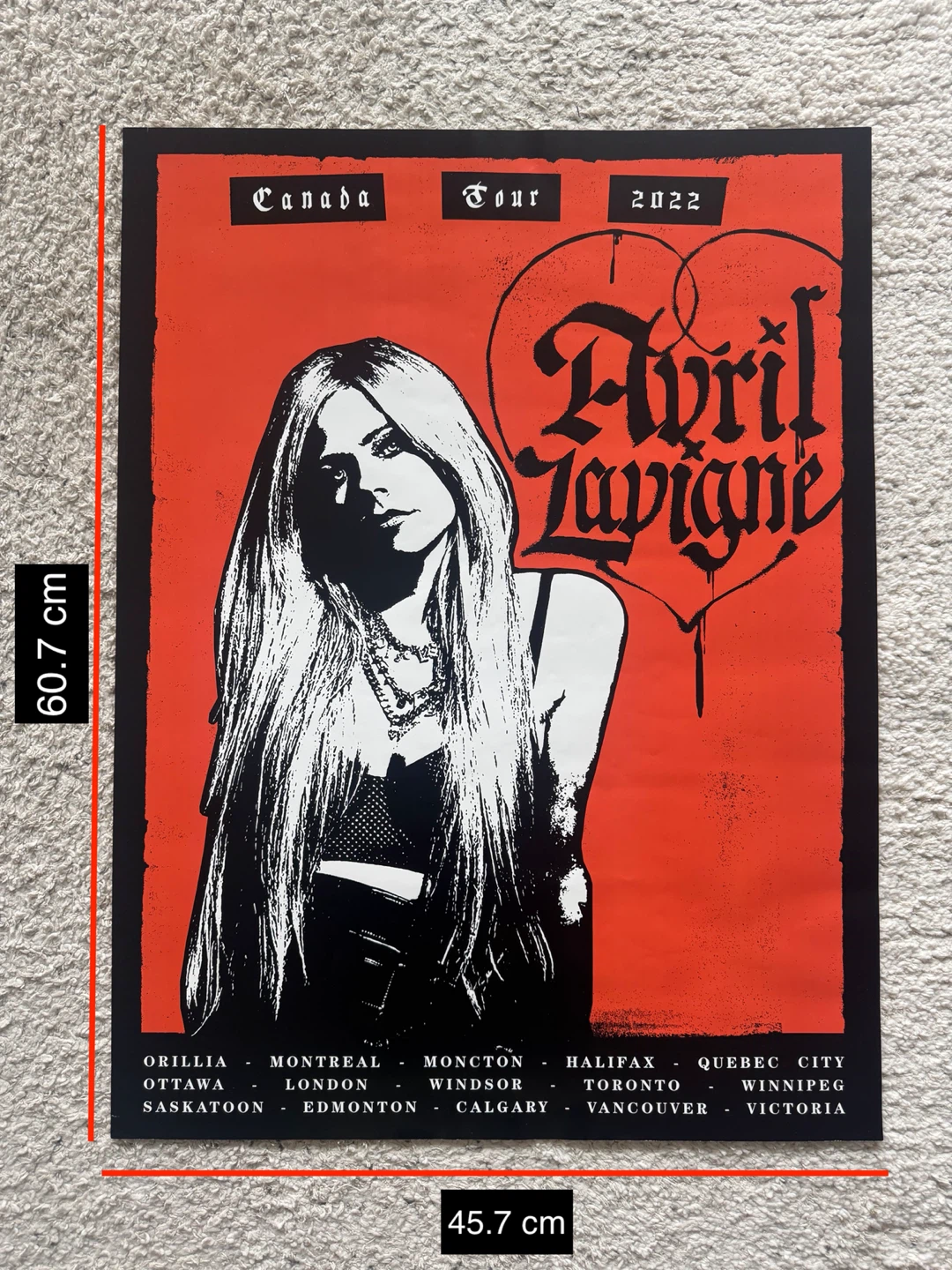Avril Lavigne Love Sux Canada Tour poster - photo 2