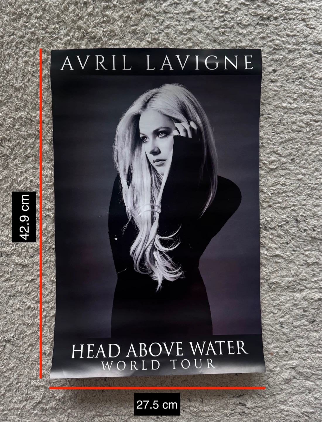 Avril Lavigne poster from Head Above Water Tour - photo 2