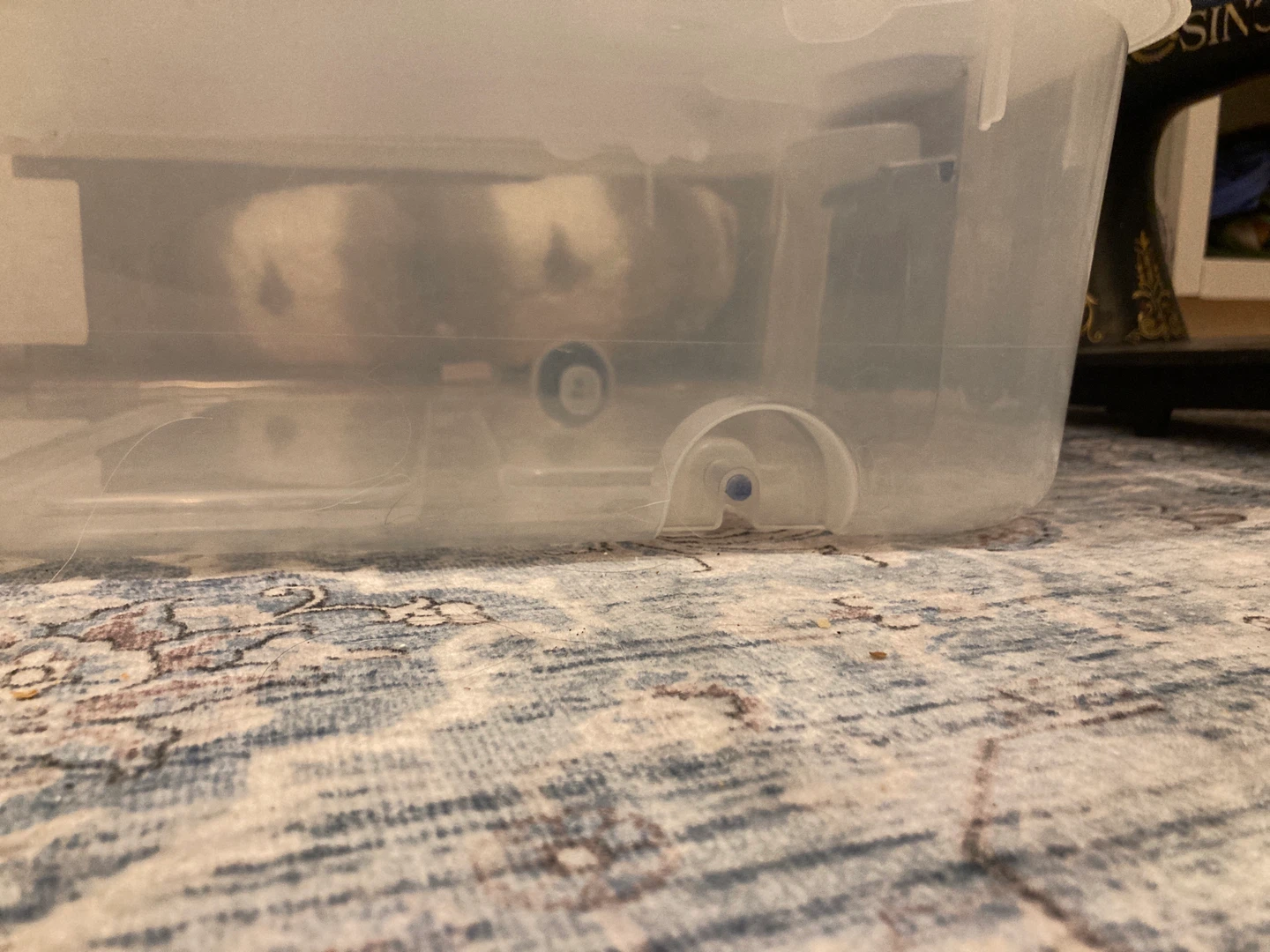 Sterilite Under Bed Wheeled Storage Box - photo 5