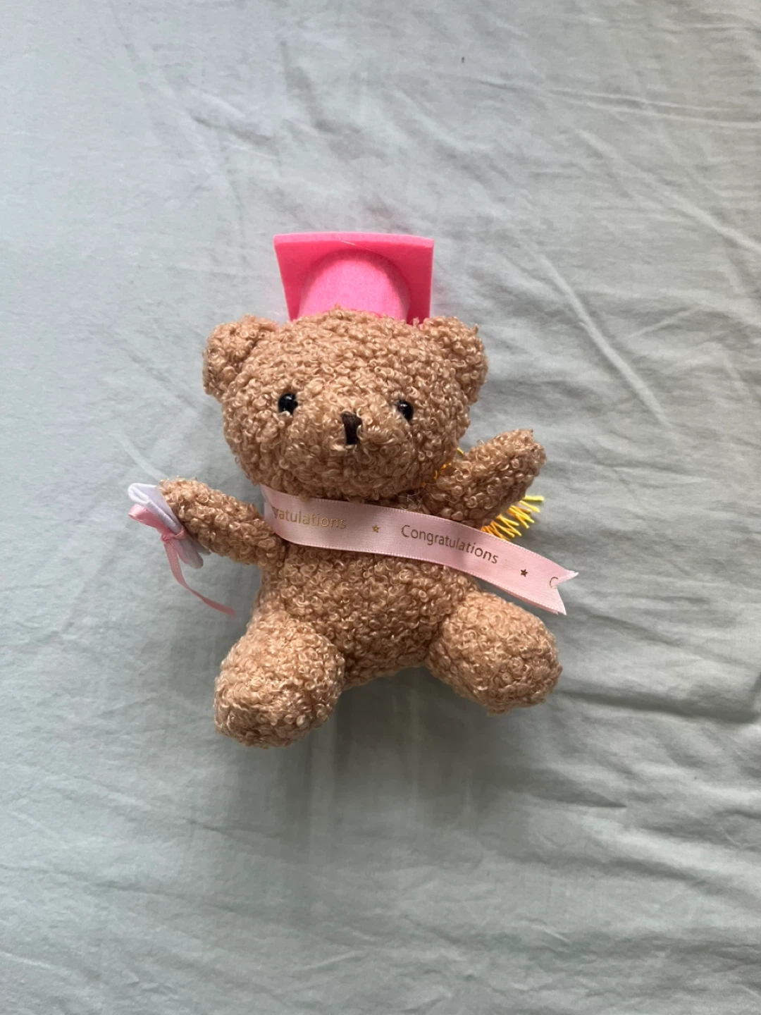 Graduation Teddy Bear with Pink Cap