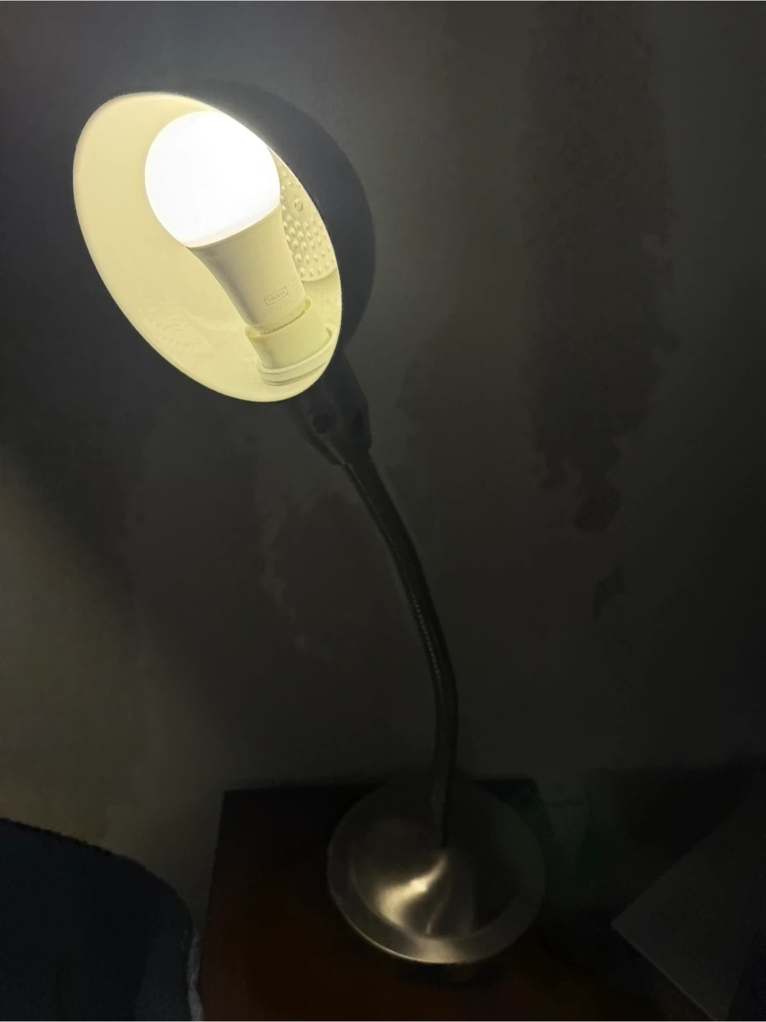 Silver Gooseneck Desk Lamp