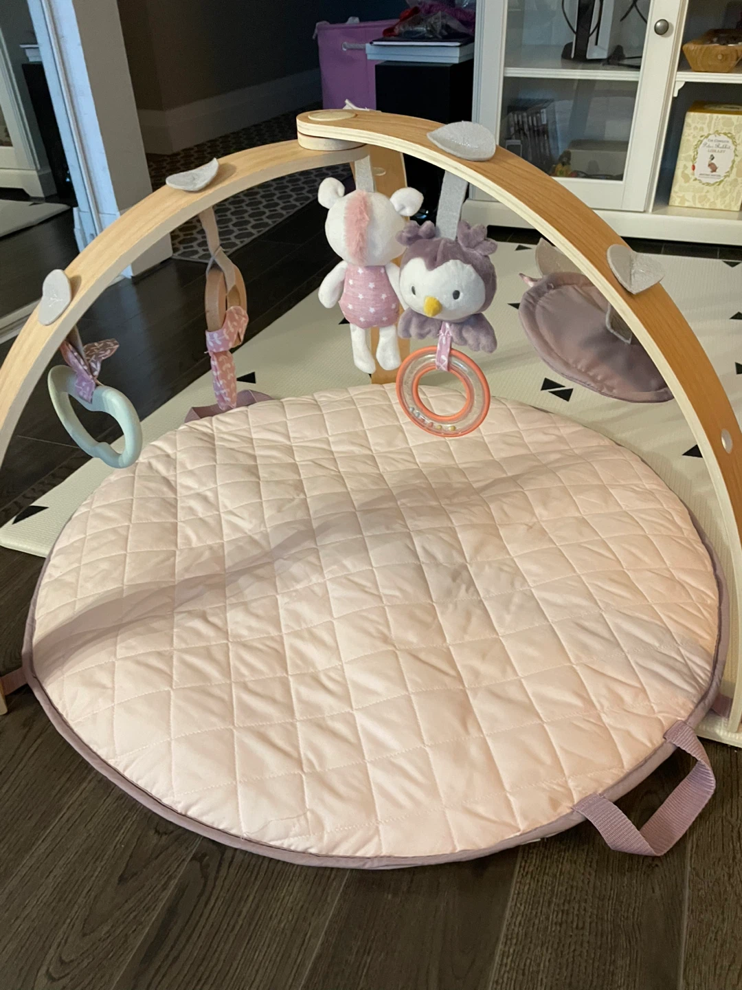 Ingenuity Activity Gym & Play Mat