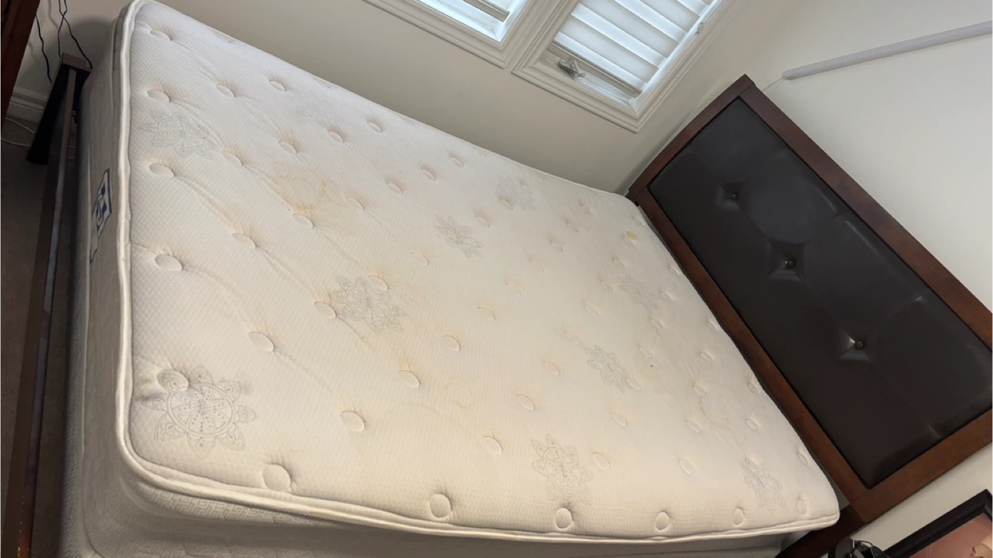 Free - Queen size - Sealy Columbia Pillowtop Mattress - photo 3
