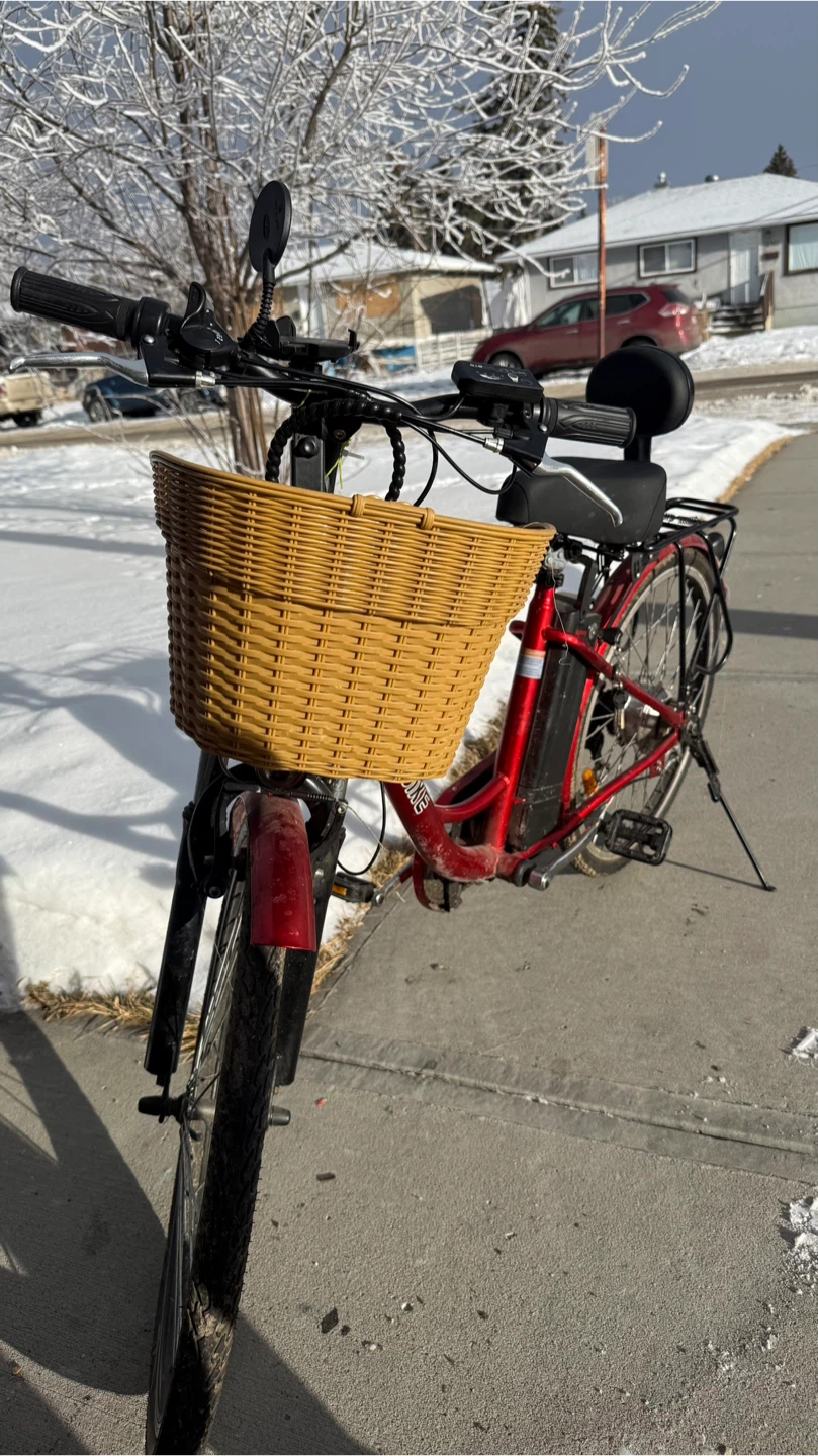 Electric Bike – Like New – Very Low Usage - photo 4