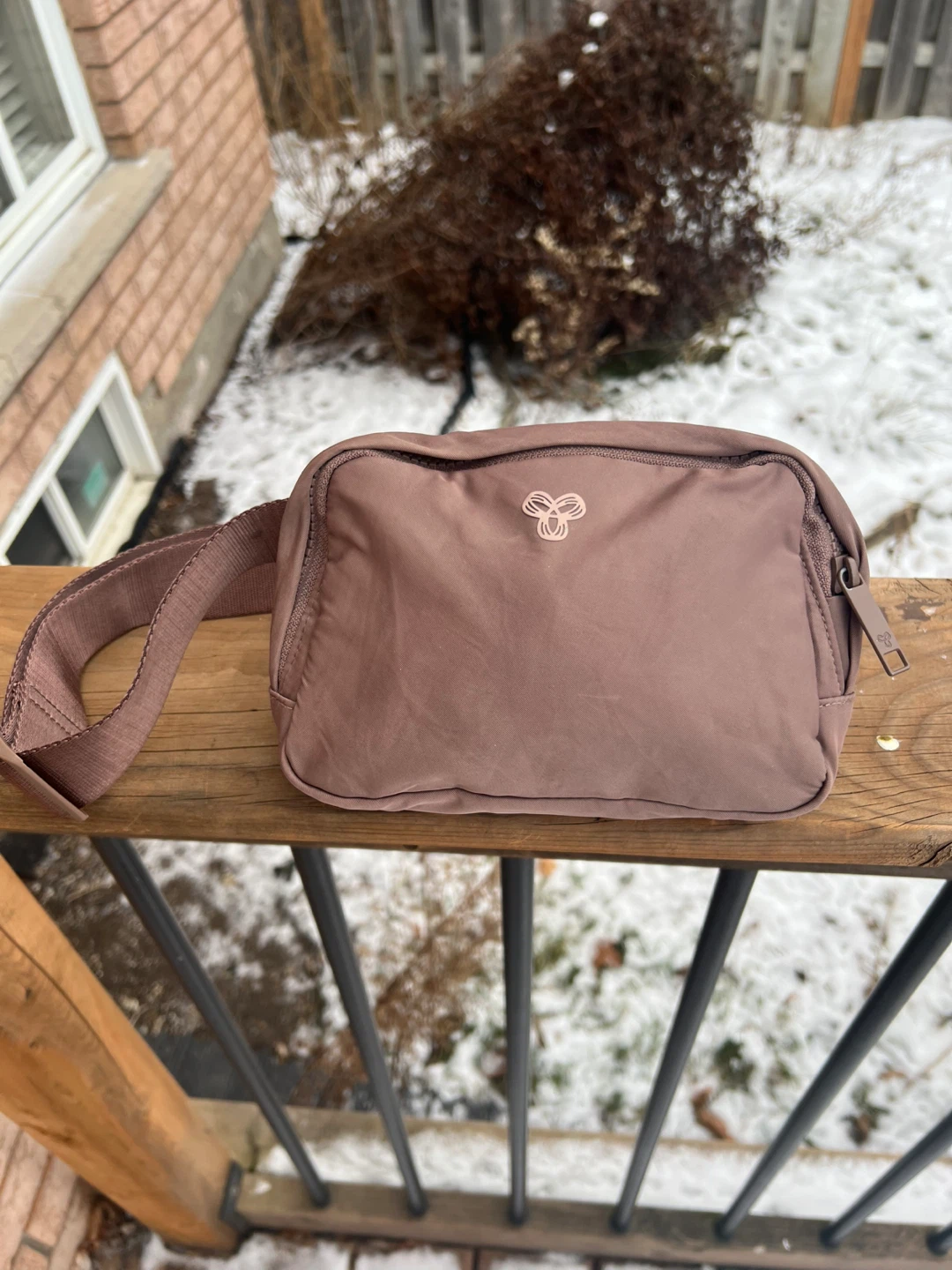 Aritzia Tna On-the-way Waist Bag