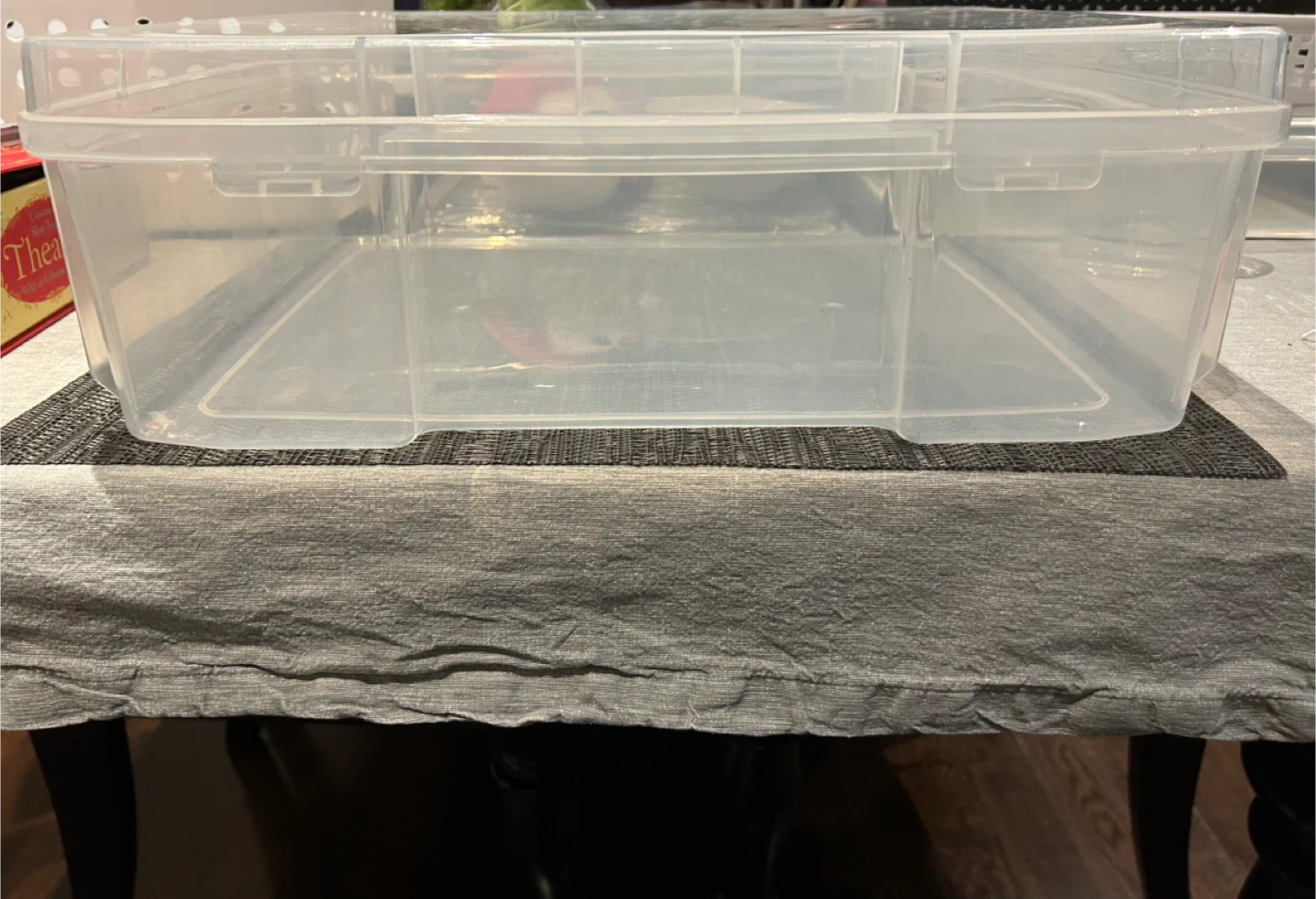 🧡Clear Plastic Storage Box