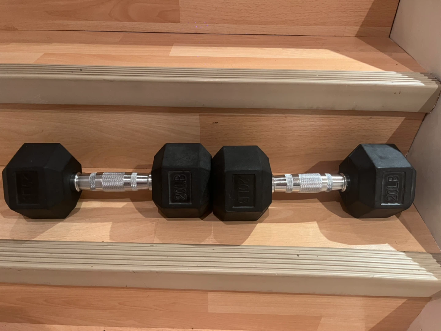 Pair of 20LB Hex Dumbbells