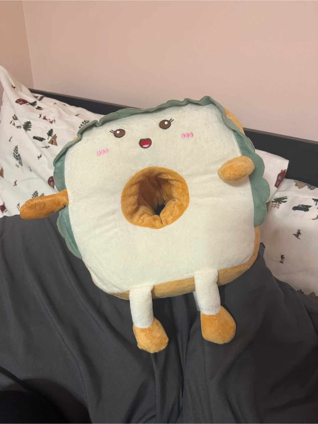 Sandwich Plush (Travel?) Pillow with Arm Holes