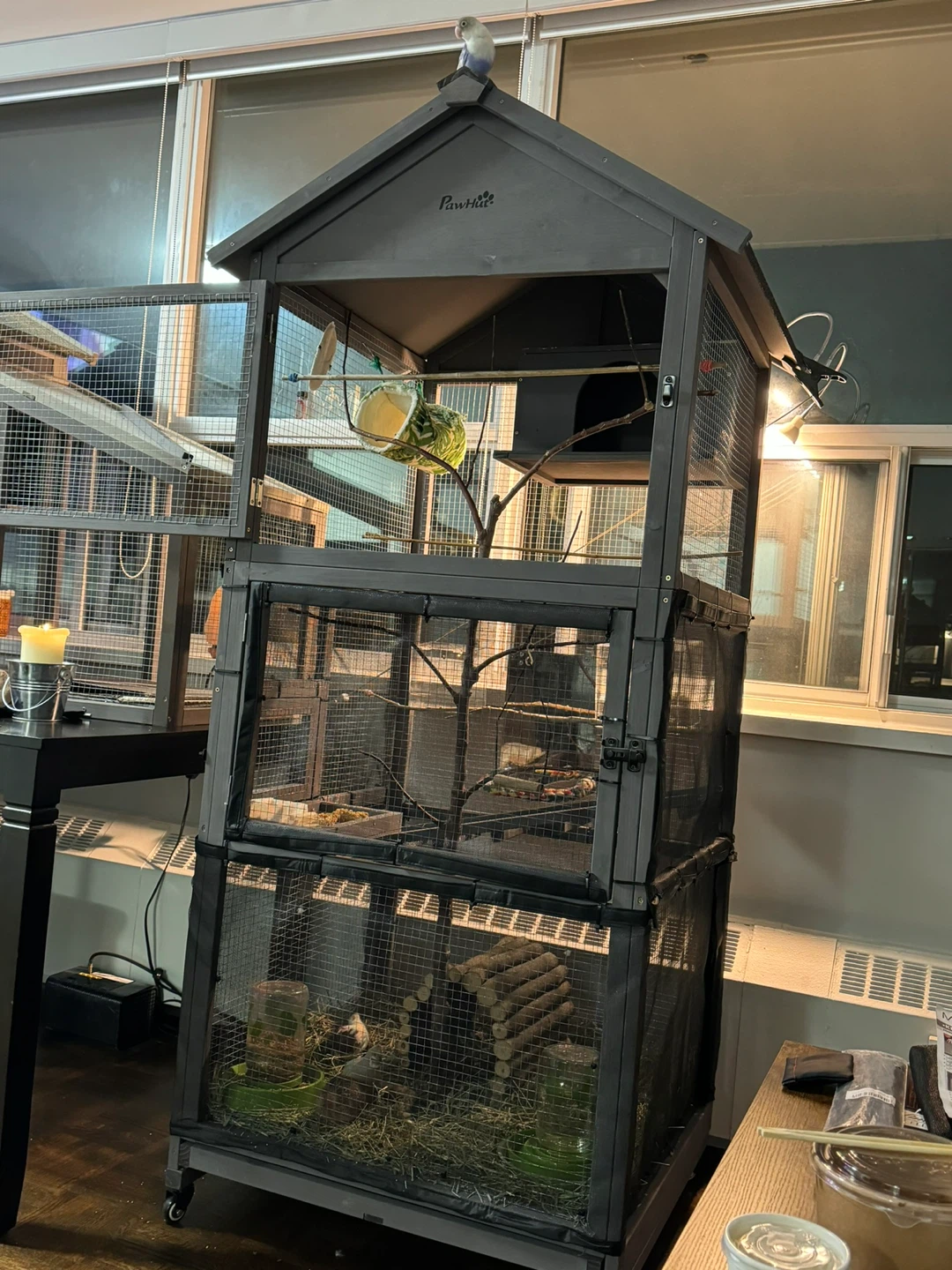 Large Bird Cage with accessories