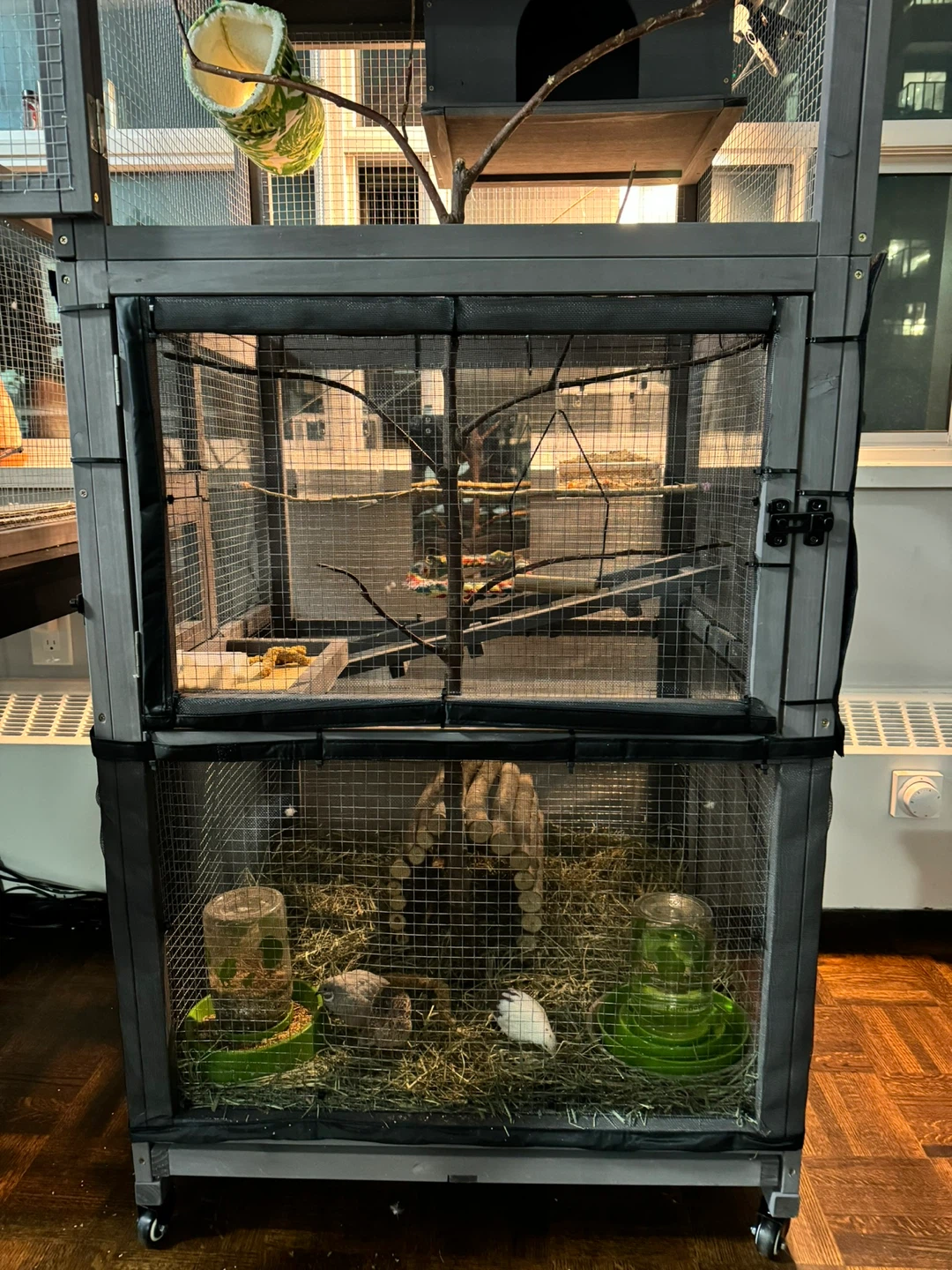 Large Bird Cage with accessories - photo 2