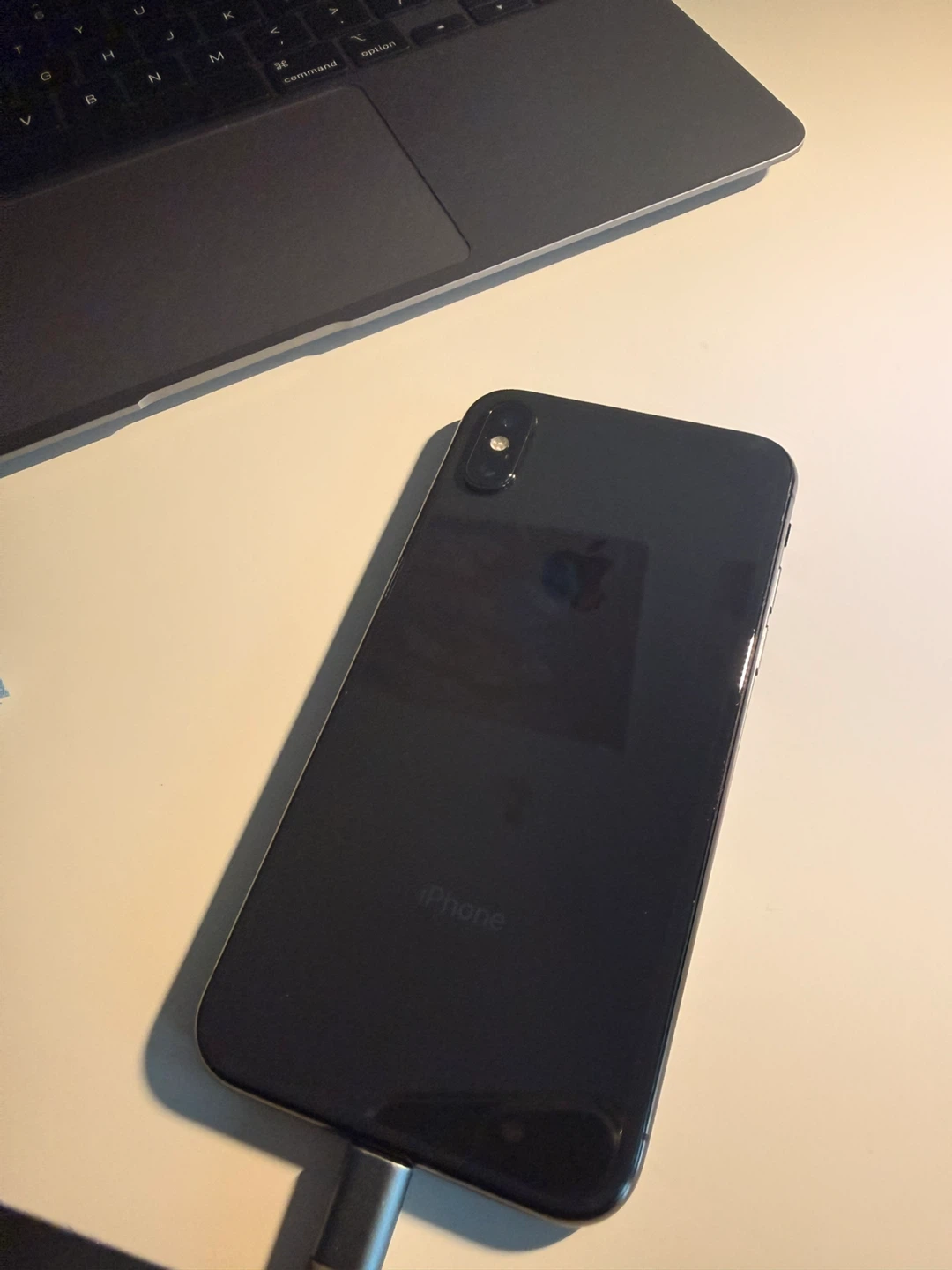 iPhone X with Battery Case