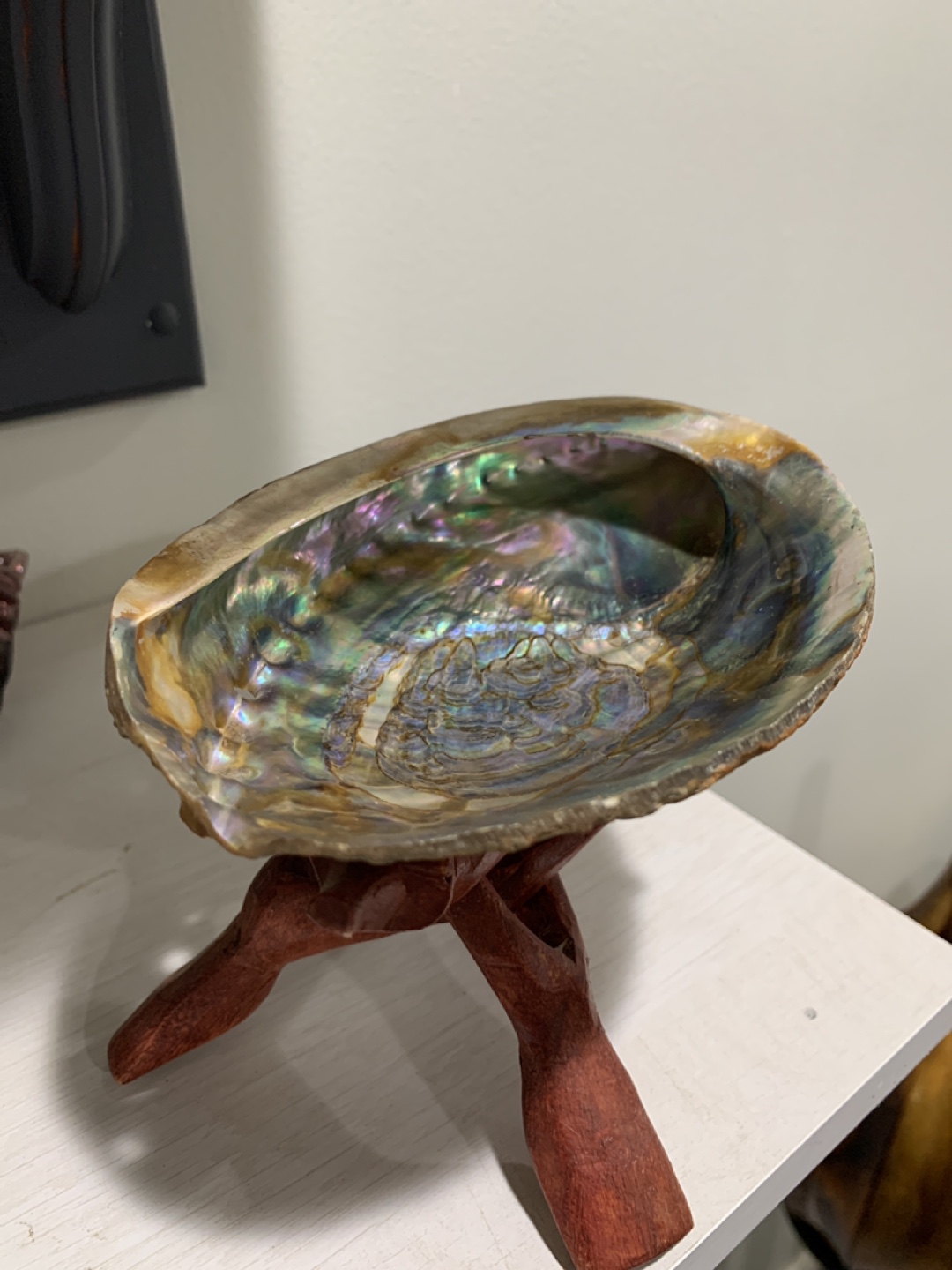 Abalone Shell with Wooden Stand - photo 4