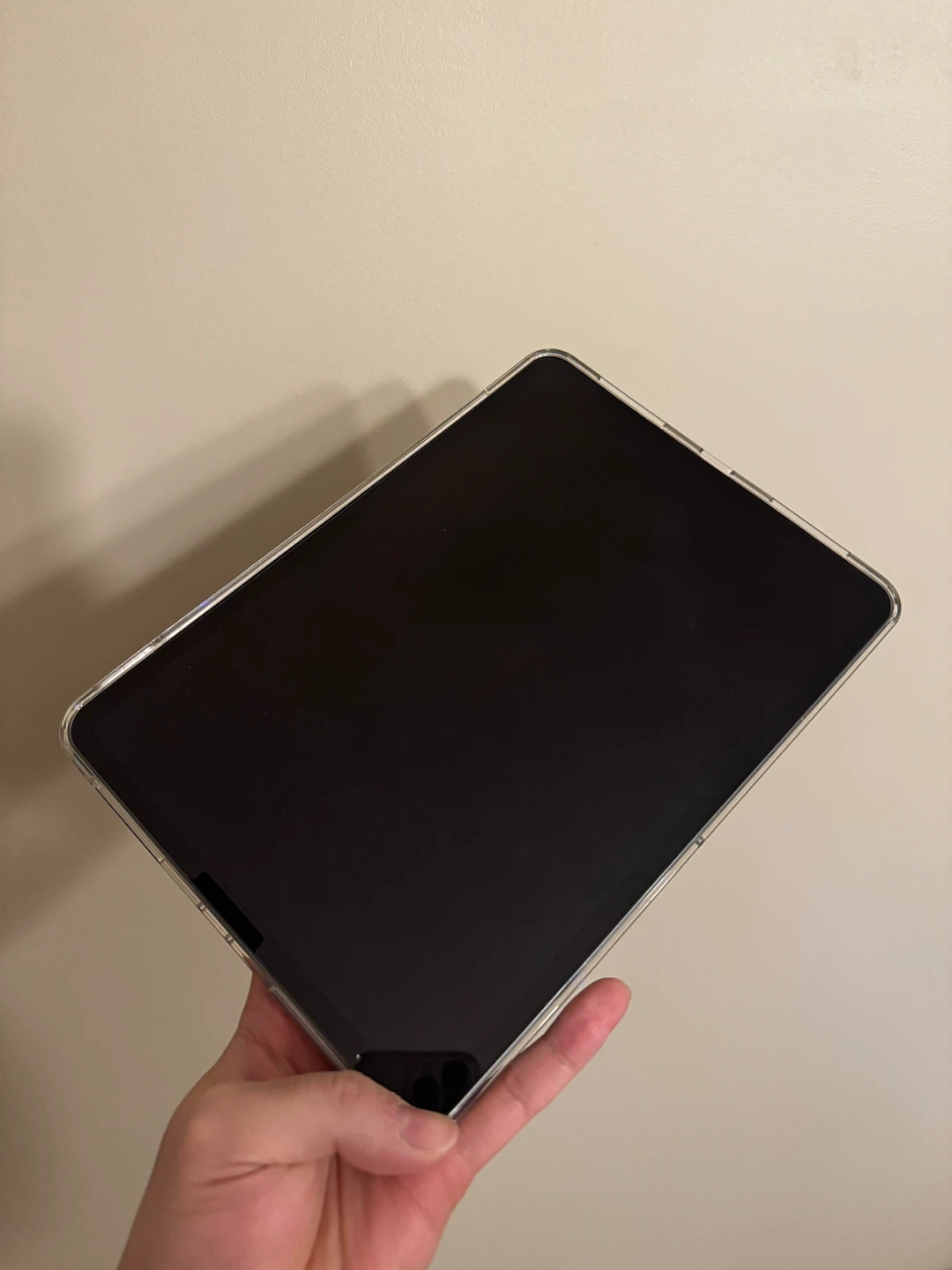Apple iPad Pro M1 11inch 128gb / July 2025