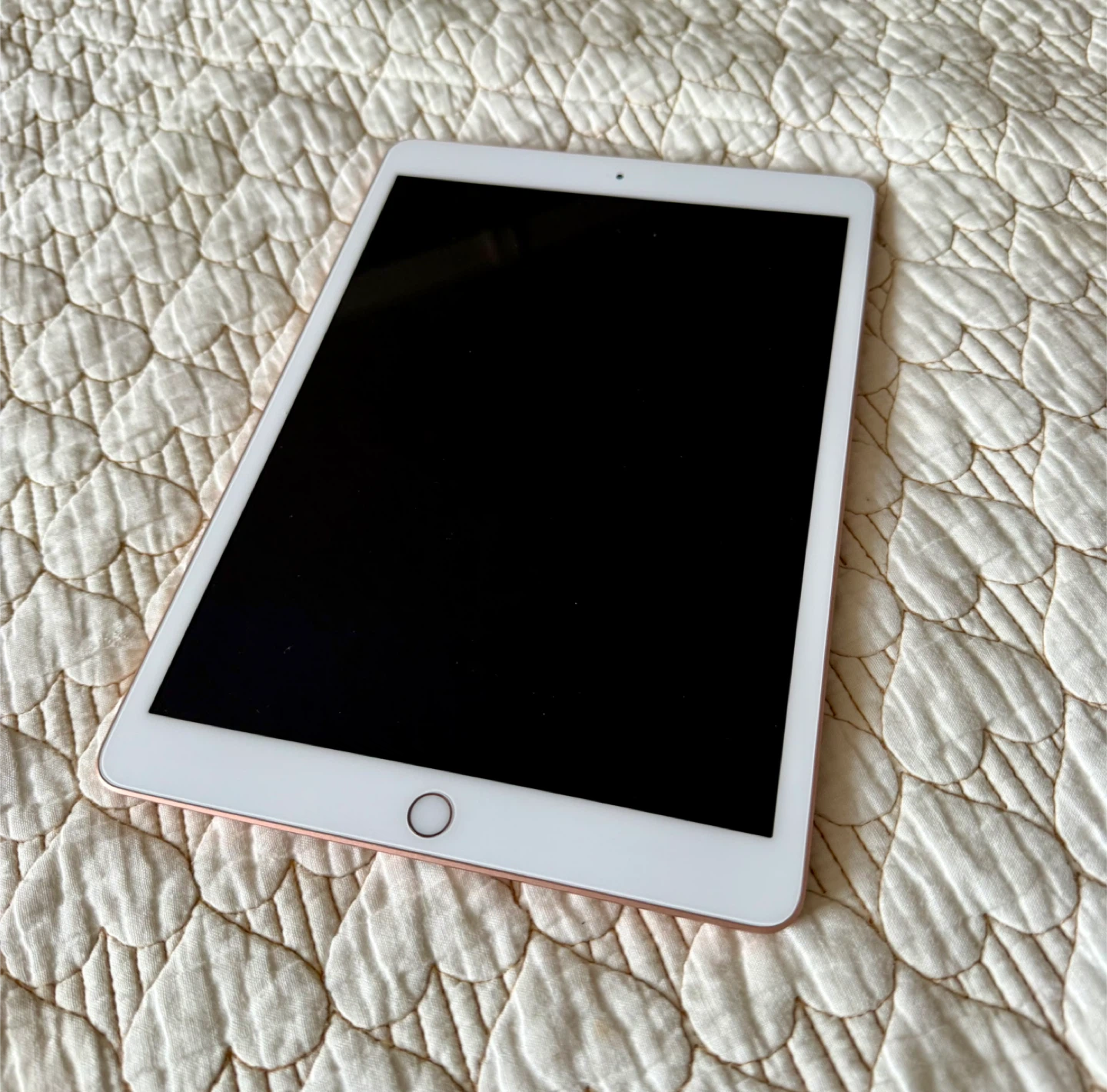 Rose Gold iPad 8- Pristine Condition!