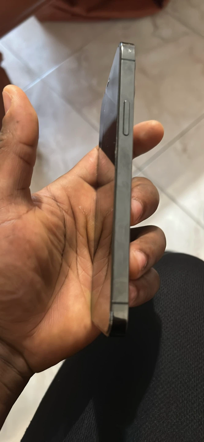 Apple iPhone 12 Pro - Graphite - photo 4