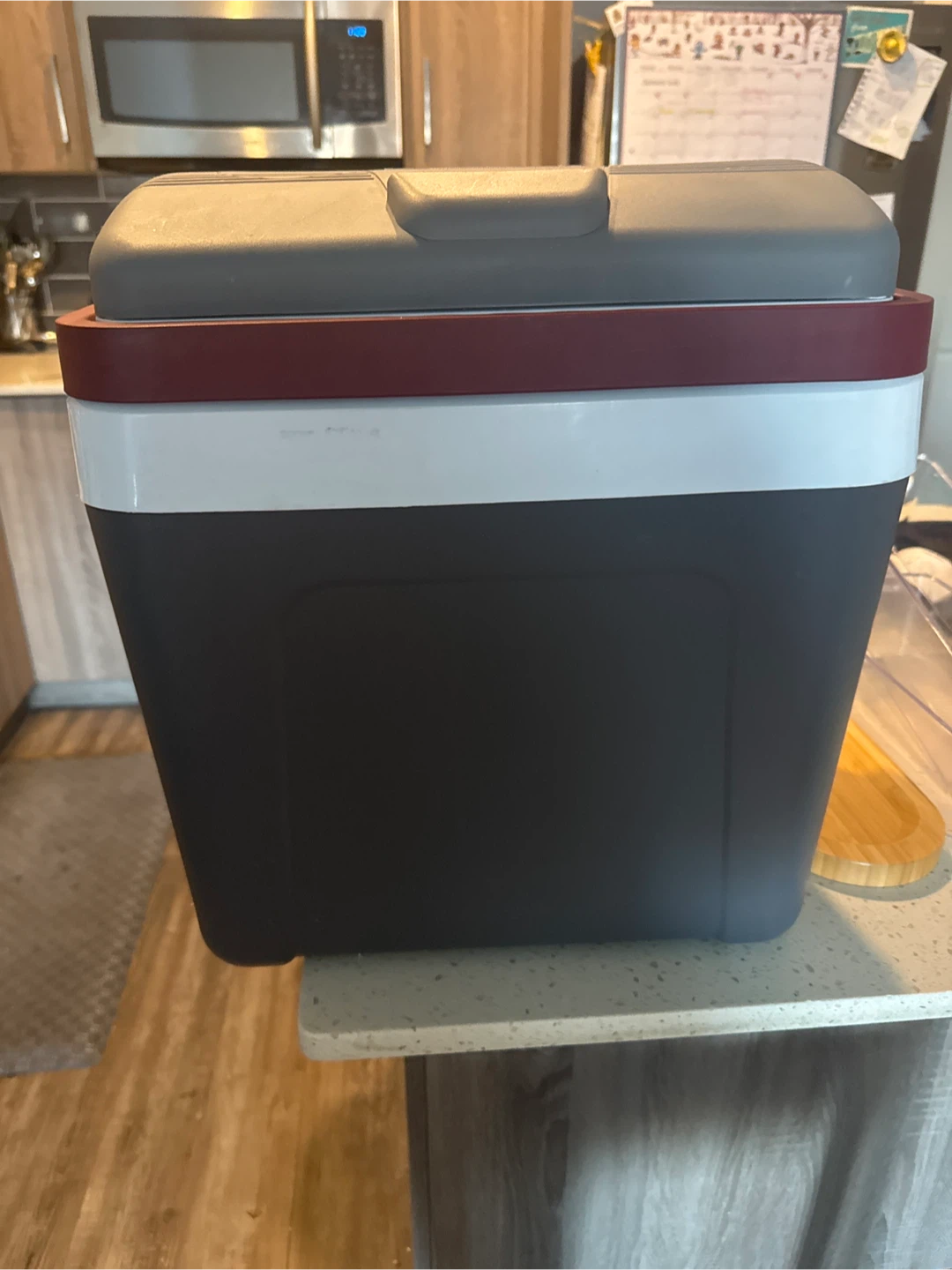Portable 12V Car Cooler