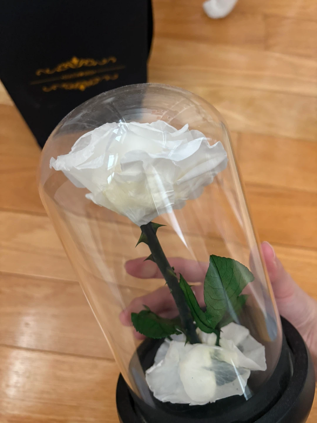 Natroses Preserved White Rose - photo 3
