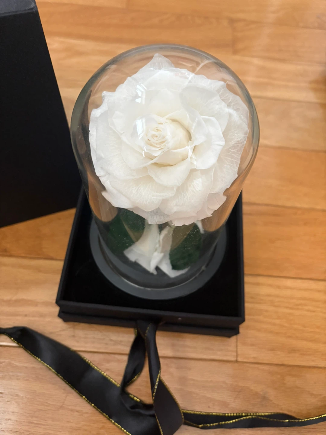 Natroses Preserved White Rose - photo 5