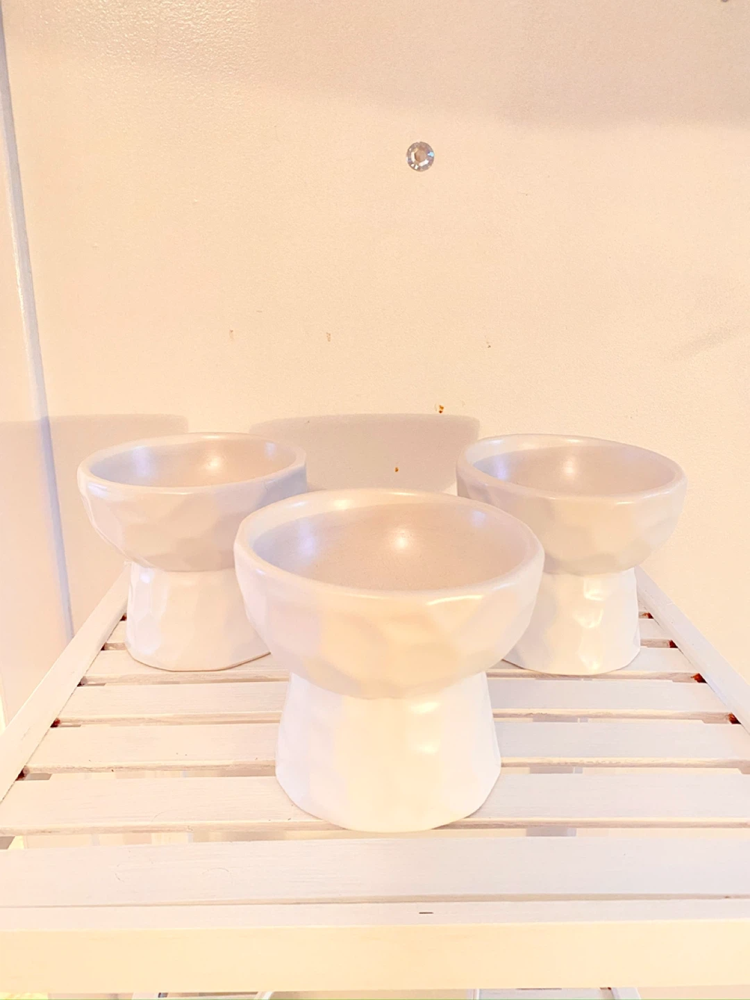 Ceramic Pet Bowls - Set of 3