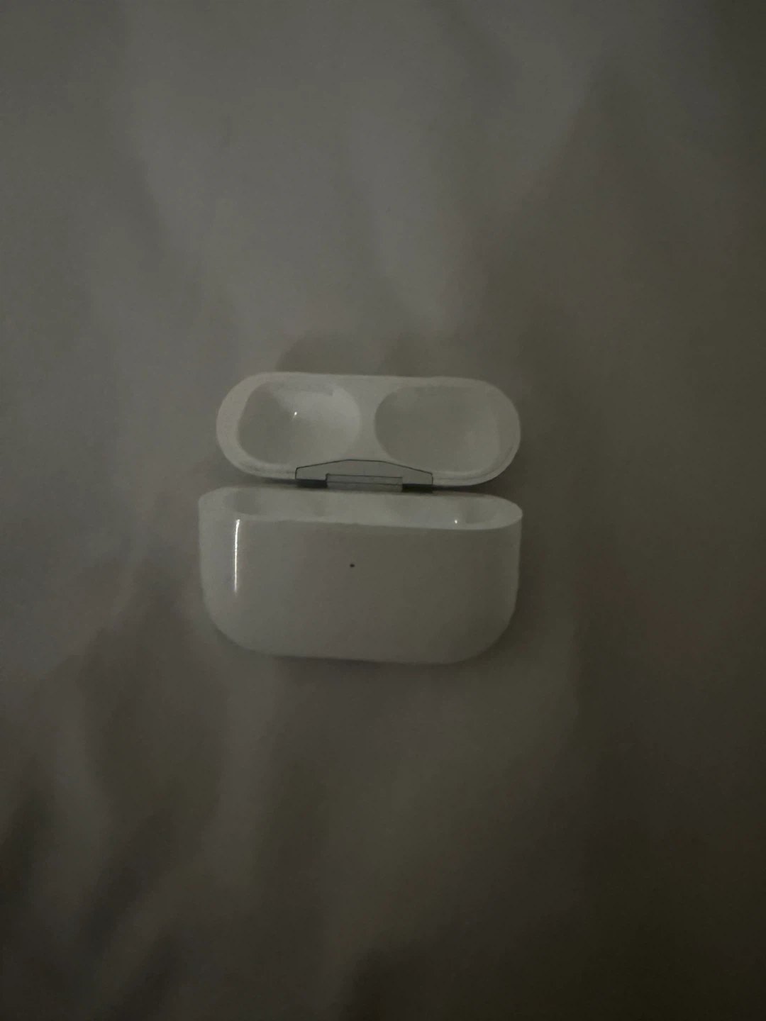 Apple AirPods Pro Case - photo 2