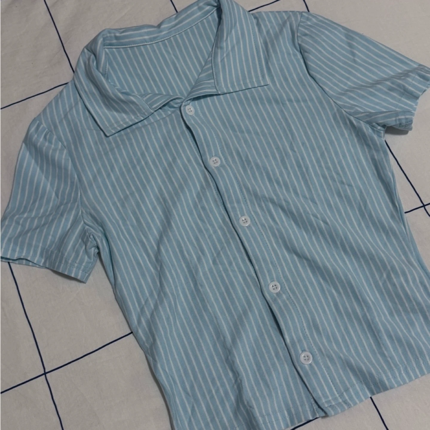 Blue Striped Blouse