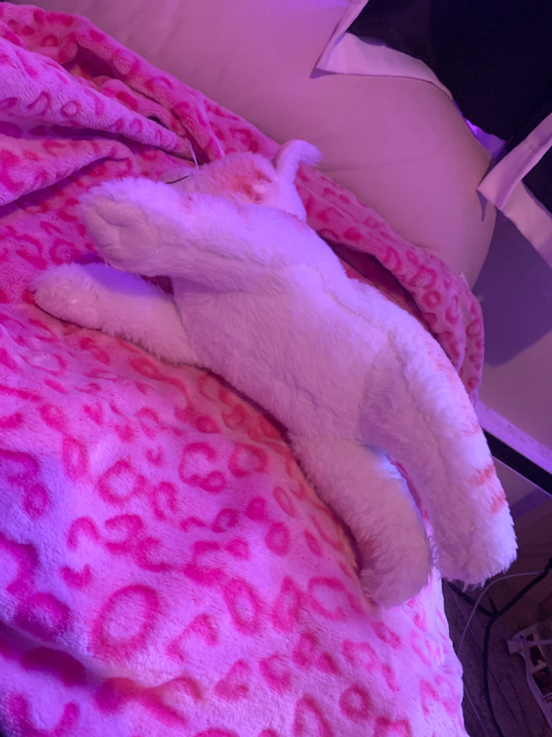 Warrior cats plush - photo 4