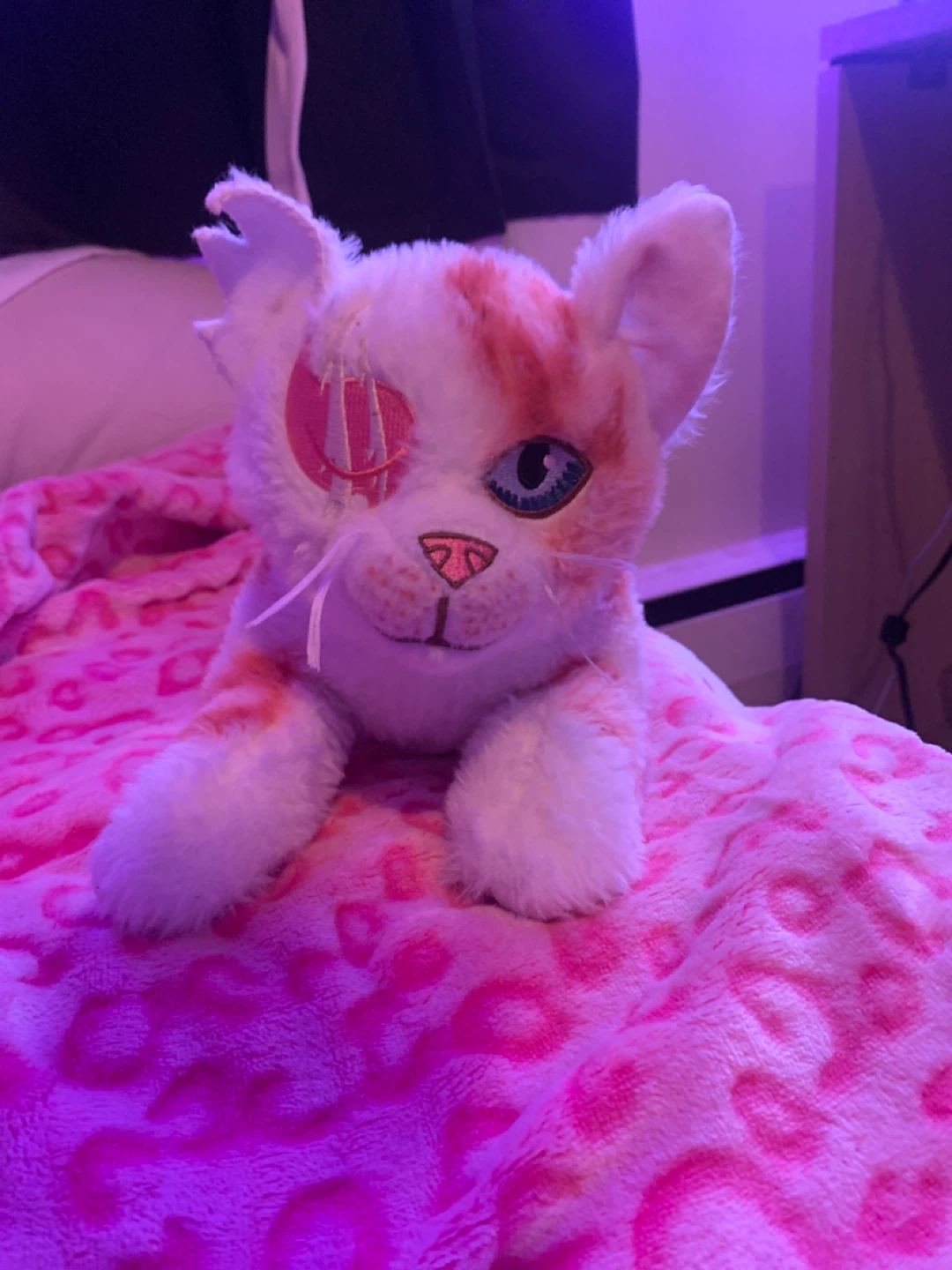 Warrior cats plush